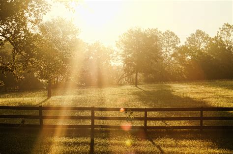 daybreak gostream|Day Break .